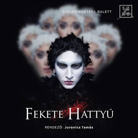 A FEKETE HATTYÚ, AKI NEM AKART FELÉBREDNI